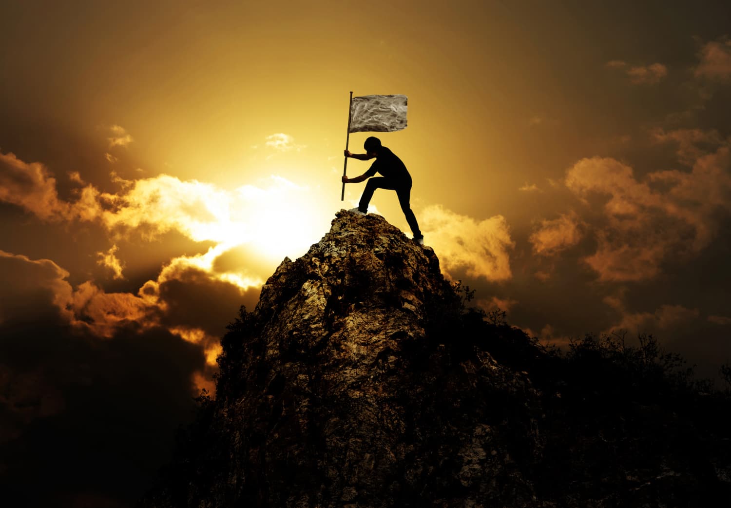PowerBeing Programs